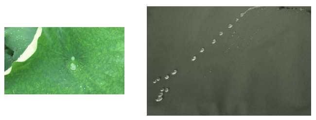 世界杯官方网站入口医用纺织