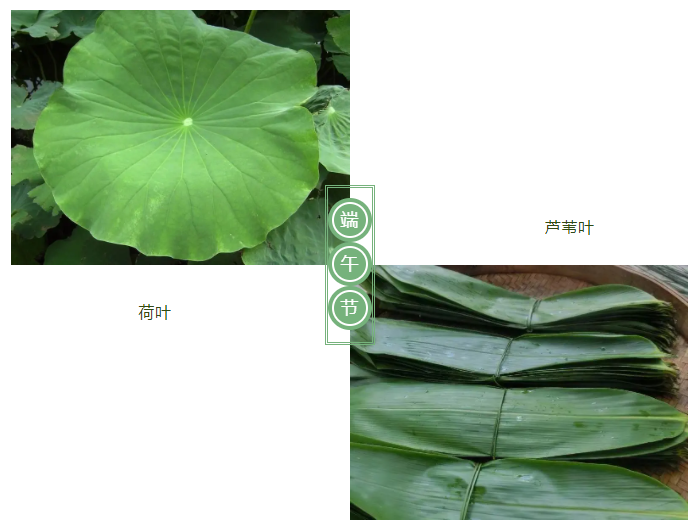 世界杯官方网站入口医纺