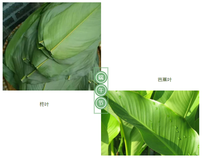 世界杯官方网站入口医纺