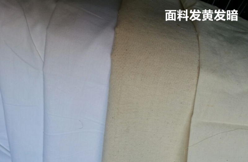 世界杯官方网站入口医防医用面料