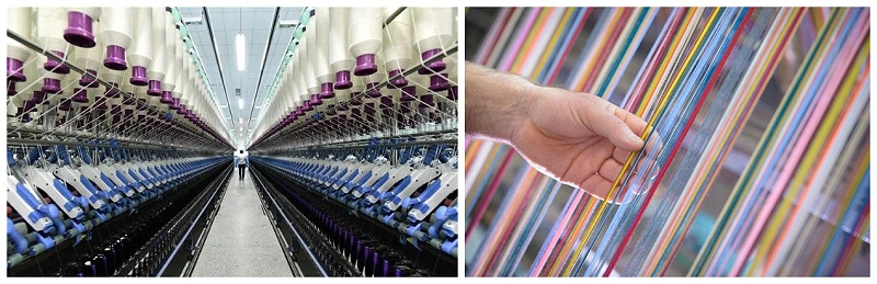 世界杯官方网站入口医纺