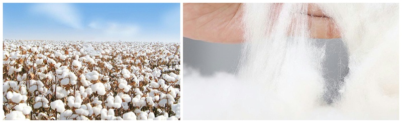 世界杯官方网站入口医纺