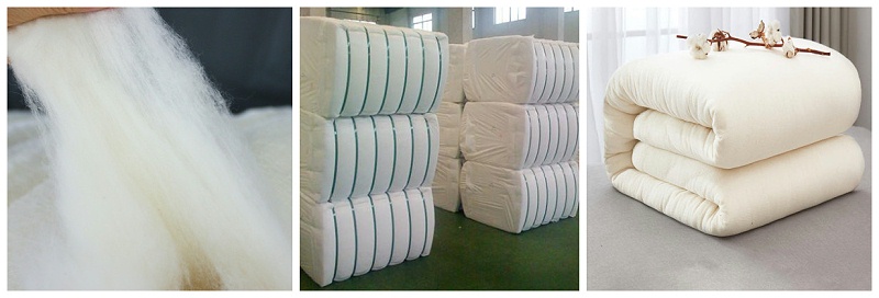 世界杯官方网站入口医纺