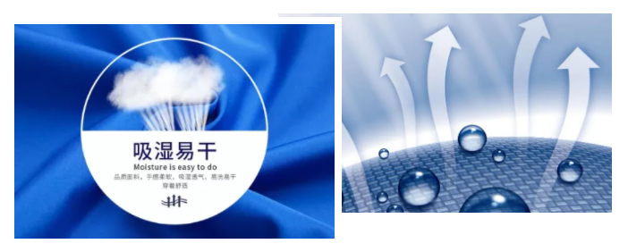 世界杯官方网站入口医纺