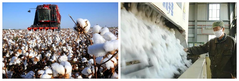 世界杯官方网站入口医纺