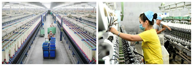 世界杯官方网站入口医纺