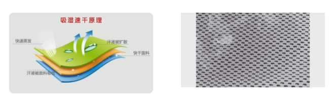 世界杯官方网站入口医用纺织