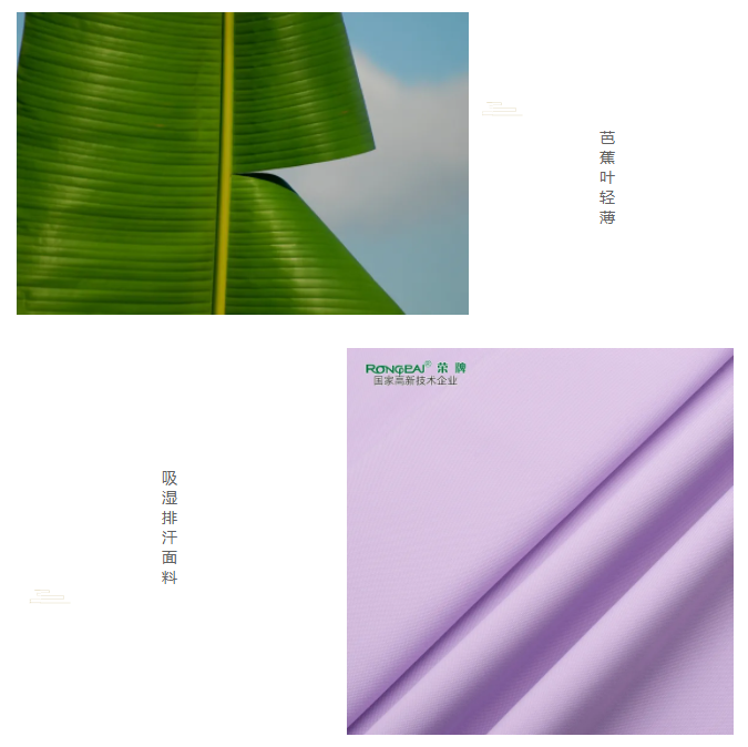 世界杯官方网站入口医纺