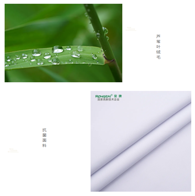 世界杯官方网站入口医纺