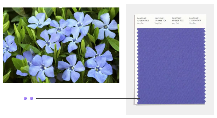 世界杯官方网站入口纺织面料