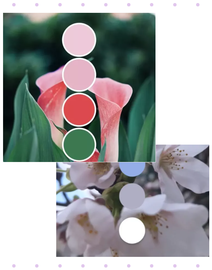 世界杯官方网站入口纺织面料