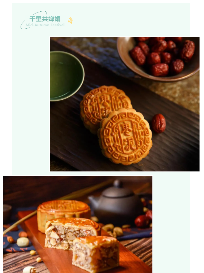 世界杯官方网站入口医纺