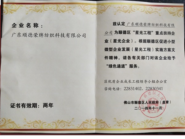 世界杯官方网站入口荣获政府重点扶持企业